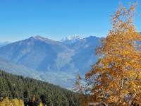 Le Mont Blanc et l'automne